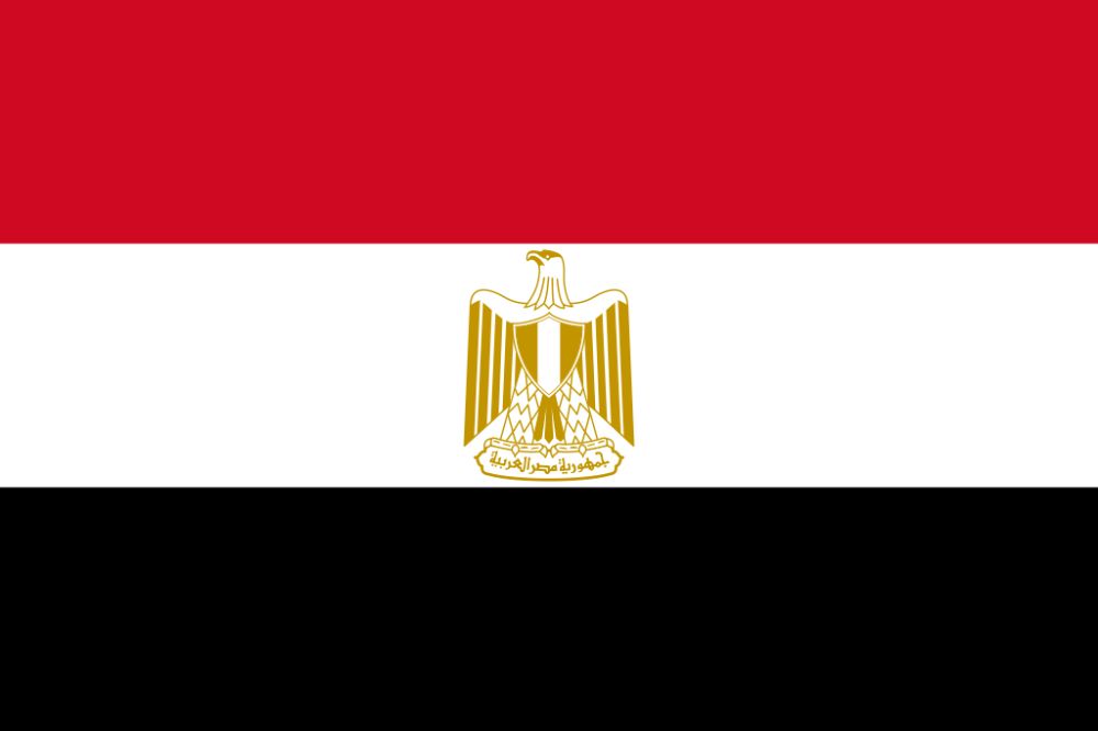 Egypt in Talks with China to Import AI-Powered Medical Diagnosis Tech